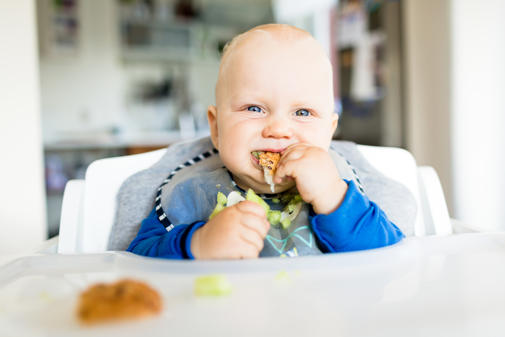 BLW - Baby-Led Weaning