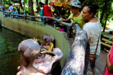 ทำไมไม่ควรเที่ยวสวนสัตว์