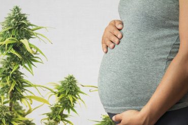 อันตรายของกัญชากับคนท้อง