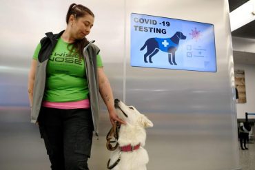 สุนัขดมหาโควิด-19 ที่ฟินแลนด์