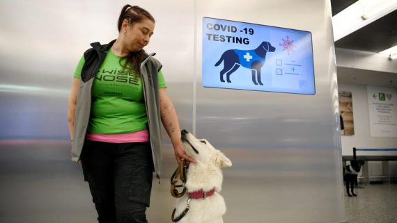 สุนัขดมหาโควิด-19 ที่ฟินแลนด์