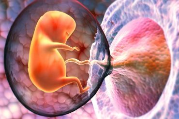 พบไมโครพลาสติกในรก