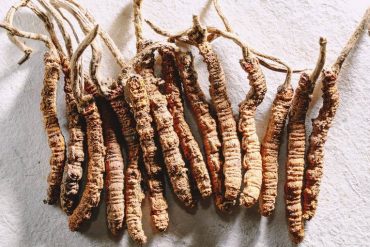 ถั่งเช่าดีจริงเหรอ