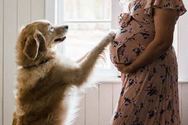 สุนัขดมได้ว่าเราท้องจริงเหรอ