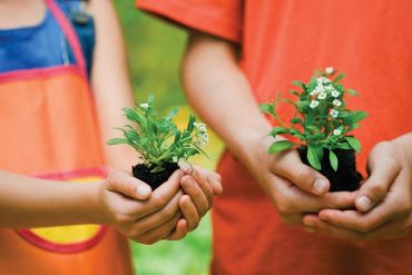 ชวนลูกทำสวนกันเถอะ