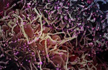 โควิดสายพันธุ์เอปซิลอนระบาด