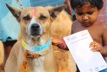 เมื่อลูกถูกสุนัขกัด