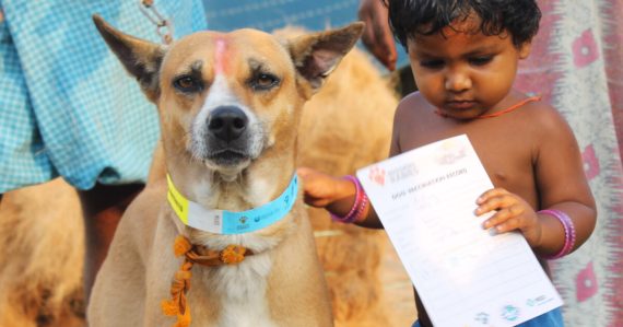 เมื่อลูกถูกสุนัขกัด