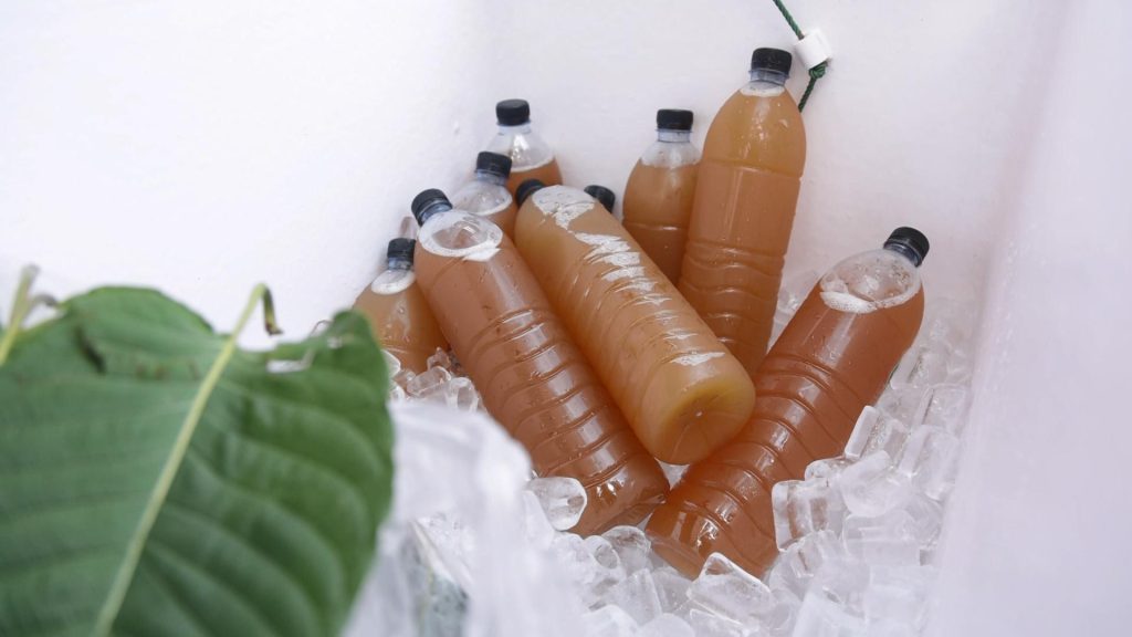 คนท้องดื่มน้ำกระท่อมได้มั้ย