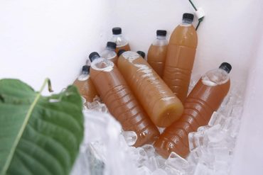 คนท้องดื่มน้ำกระท่อมได้มั้ย