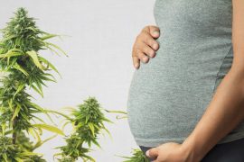 ปลดล็อคกัญชาแล้ว "สูบกัญชาตอนให้นม" ได้มั้ย ?