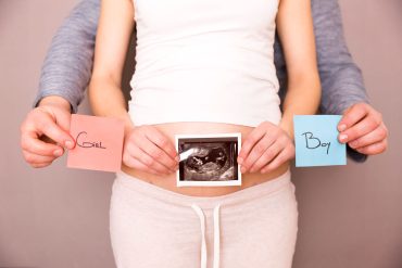 อวัยวะเพศของตัวอ่อนในครรภ์